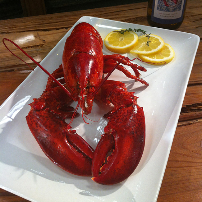 Lobster Maine Lobster Langenstein S [ 650 x 650 Pixel ]